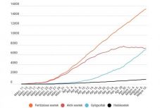Koronavírus Romániában: 231 új eset van, több mint 7000-en gyógyultak meg