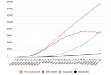 Koronavírus Romániában: a gyógyultak száma már meghaladja az aktív fertőzöttekét