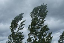 Erdély nagy részén erős szélre figyelmeztetnek a meteorológusok