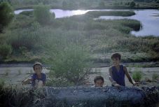 Román dokumentumfilm nyerte a DOK.fest Münchent, ahol a Polgár Juditról szóló filmtervet is díjazták