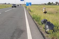 Mázsaszám szedik össze a szemetet Nagylakon az országút mentén