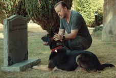 Ezen a gyászterápián nevetve zokogsz – Ricky Gervais: Mögöttem az élet