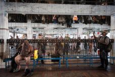 Fertőzési góc alakult ki az észak-morvaországi Darkov-bányában