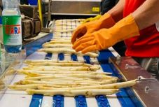 Az elégedetlen németországi román vendégmunkásokkal találkozott a munkaügyi miniszter