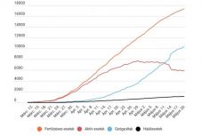 Koronavírus Romániában: az igazolt fertőzések száma 17 387, a gyógyultaké 10 356