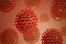 Hattal emelkedett a koronavírussal összefüggésbe hozható halálesetek száma