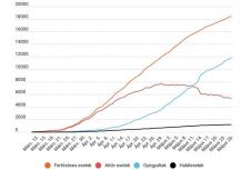 Koronavírus Romániában: 146 új eset, tovább csökkent az aktív fertőzöttek száma