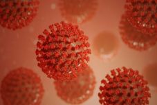 Újabb négy koronavírusos személy hunyt el az országban