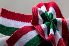 Rostás-Péter István: Elnapolt esély 