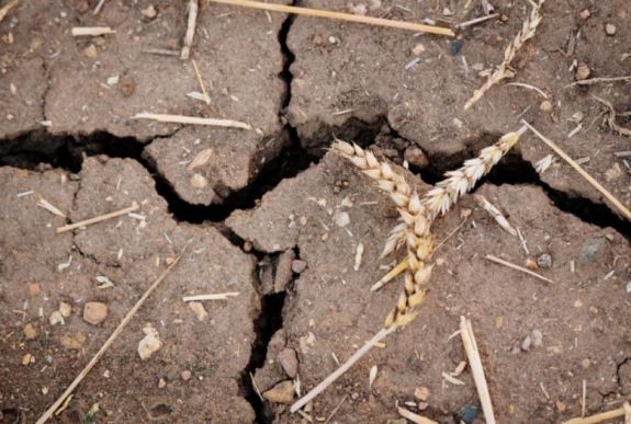 Mezőgazdasági miniszter: kivitelezhetetlen a kártérítési törvény
