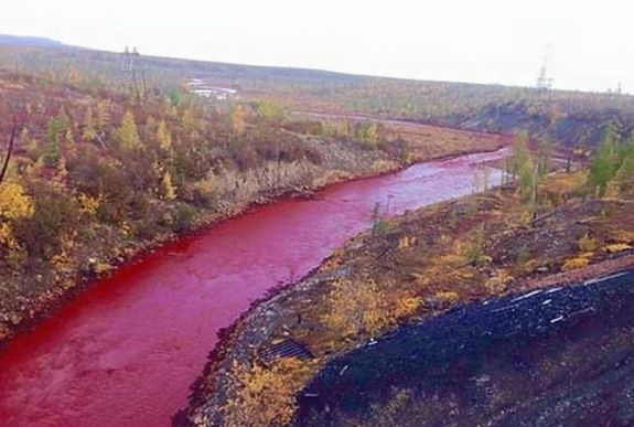 Megtisztították az Ambarszkaja folyót a norilszki olajömlés után