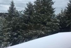 Havazott június második napján a Madarasi Hargitán