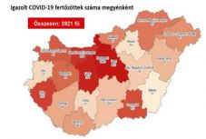 Meghalt 5 beteg és 3921-re emelkedett a fertőzöttek száma Magyarországon