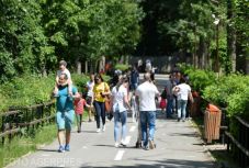 Nelu Tătaru: leghamarabb nyár végén kapjuk vissza a járvány előtti életünket