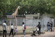 Vuhan: két és fél hét alatt csaknem 10 millió főt teszteltek koronavírusra