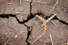 Mezőgazdasági miniszter: kivitelezhetetlen a kártérítési törvény