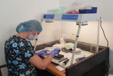 Nép Ügyvédje: a koronavírus miatt munkaképtelenné vált személyek jogosultak a teljes bérükre