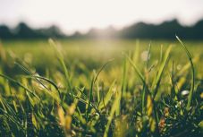 Kőszínházból szabadtérre: ilyen előadásokat terveznek nyárra az erdélyi társulatok