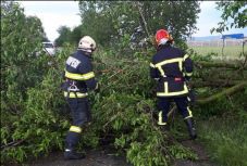Kidőlt fa akadályozta a közlekedést Arad megyében