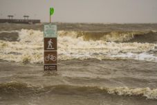 Louisianában ért partot a Cristobal trópusi vihar