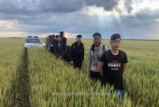 Tíz afgán állampolgárt tartóztattak fel a magyar határ közelében