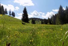 Nehezen indul újra a Gyimesek turizmusa: a vendéglátók egy részének idén a túlélés a cél