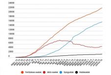 Koronavírus Romániában: 250 új esetet jelentettek, ismét csökkent az aktív fertőzöttek száma