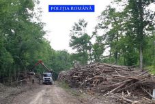 Környezetvédelmi ügyészség létrehozásáról döntött a parlament