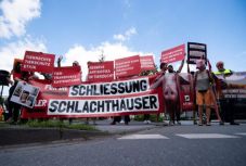 A német hatóságok a bonni román főkonzulátus segítségét kérték a karantén betartatásához