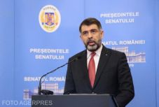 A PSD nem támogatja Renate Weber ombudsman menesztését