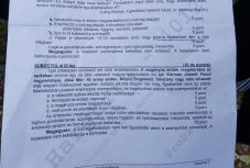 Érettségi: ezeket a tételeket kapták a végzősök magyar nyelv és irodalomból