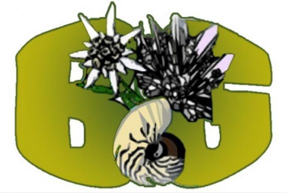 Kárpát-medencei unikum a magyar nyelvű ökológiai képzés Kolozsváron