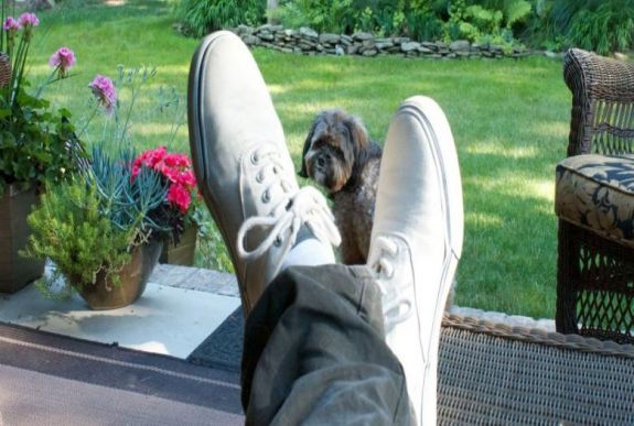 Rostás-Péter István: Elhalasztva