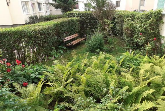 Nagyszámú nevezés érkezett a Virágos Sepsiszentgyörgy versenyre