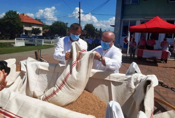 Először öntötték össze a Magyarok Kenyere-búzát a Szilágyságban