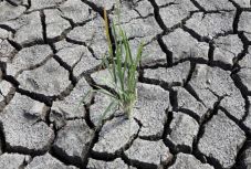 Mezőgazdasági miniszter: közel 35 ezer gazdának okozott kárt az aszály