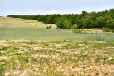 Európa elsivatagosodik: hat uniós ország mellett Romániát is fenyegeti a jelenség