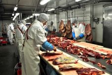 Ausztriában is sorra fertőzödnek meg a munkások a húsfeldolgozókban