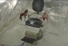 Holland rendőrség: egy drogbandához köthető a kínzókamrás konténerbörtön