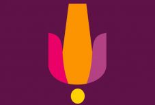 Új arculattal, biztonságos programmal készül a nagybányai Főtér Fesztivál