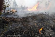 Szibéria klímaváltozásában csaknem bizonyosan az emberi tevékenység játszott szerepet