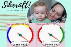 Példás összefogás: összegyűlt Noel kezelésének az ára