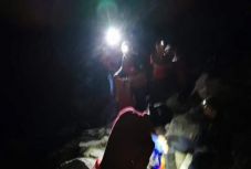 Medve támadt a Bucsecs-hegységben túrázókra