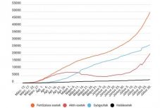 Koronavírus Romániában: újabb rekordot döntött az új esetek száma