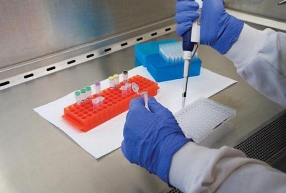 Ombudsman: törvénytelen negatív koronavírus-tesztet kérni a munkába visszaállóktól