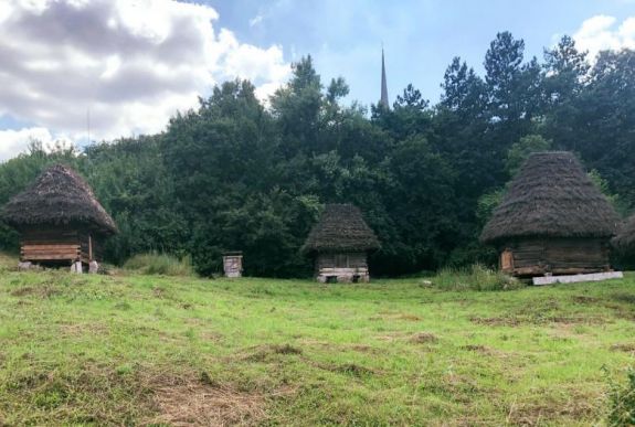 Mégis lesz Kolozsváron Jazz in the Park fesztivál