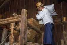 Összeöntötték a Magyarok Kenyerének búzáját 