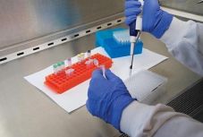 Ombudsman: törvénytelen negatív koronavírus-tesztet kérni a munkába visszaállóktól