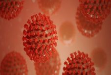 Bíró Béla: Paradox valóságérzékelés