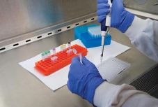 Újabb romániai vendégmunkások fertőzödtek meg koronavírussal